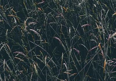 理想名言警句(热门99句)