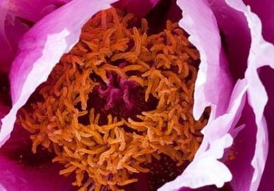 短一点的名人名言(汇总49句)