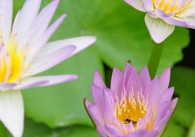 生命价值的名言(必备80句)