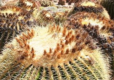 沈石溪的名言(热门50句)