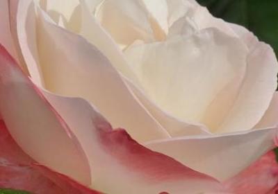 爱因斯坦名言名句(通用76句)