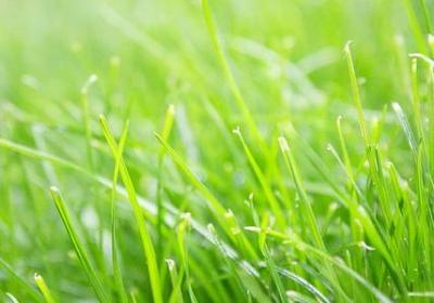 李四光的名言(汇总49句)