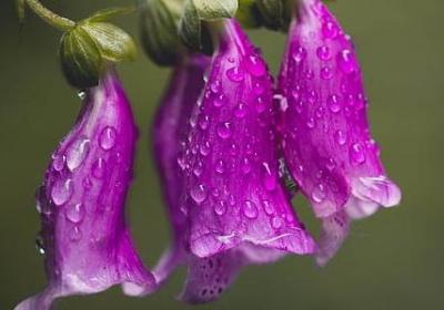 有教养的名言(必备120句)