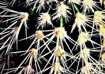 正能量的名言警句(50句) 正能量的名言警句(50句)