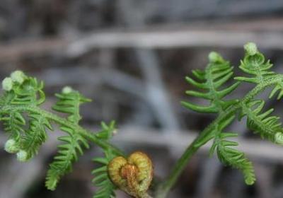 爱情名人名言(通用50句) 爱情名人名言(通用50句)