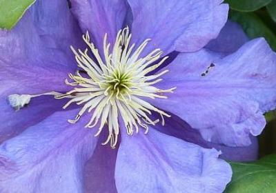 自信的英文名言(汇总80句)