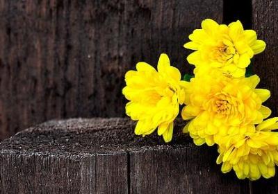 数的词语有哪些(实用20句) 数的词语有哪些(实用20句)