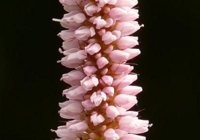 操场上特别热闹的词语(共60句)