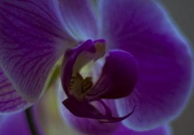 描写秋天景色的词语有哪些(共51句)