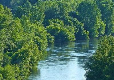 文言词语与句式(实用79句)