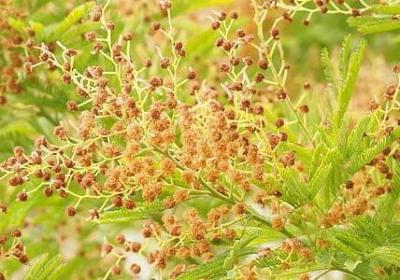 旋组词有哪些词语(热门11句)