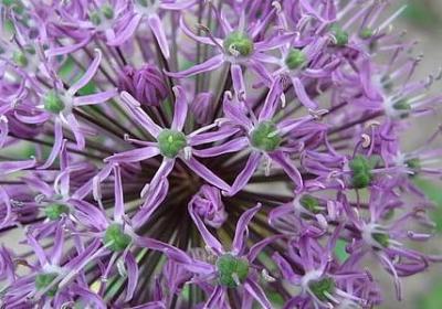 时间短暂的词语(共10句) 时间短暂的词语(共10句)