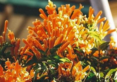 改过自新的词语(汇总30句) 改过自新的词语(汇总30句)