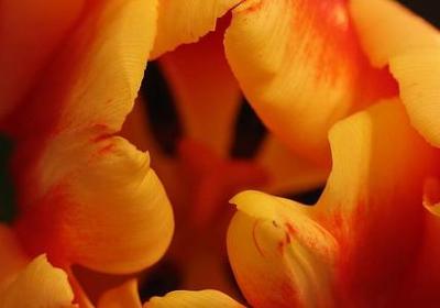 描写绘画的词语(精选81句) 描写绘画的词语(精选81句)