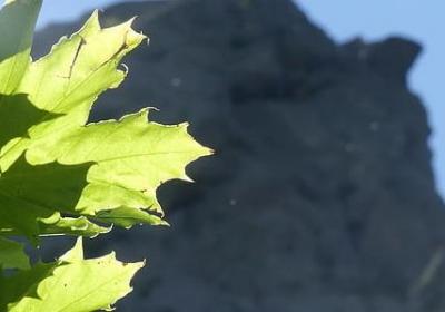 描写近义词的四字词语(推荐40句) 描写近义词的四字词语(推荐40句)