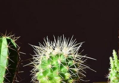 极小极小照样子写词语(优选70句)