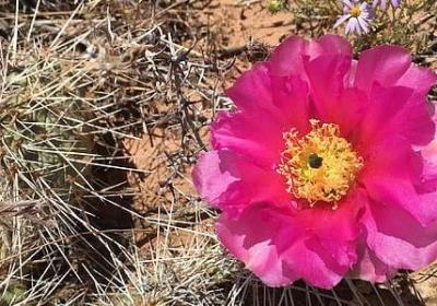 枕能组什么词语(推荐40句)