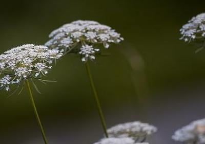 水井井水照样子写词语(精选40句)
