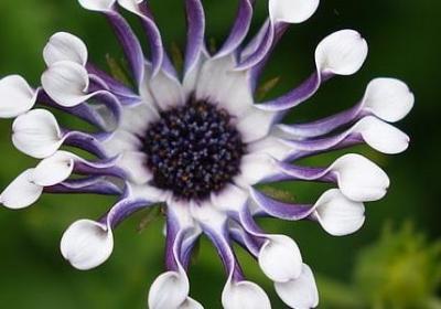 期待开业的词语(必备10句)