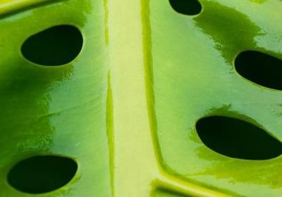 烦闷苦恼的词语(50句)