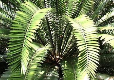 永的四字词语(通用60句)