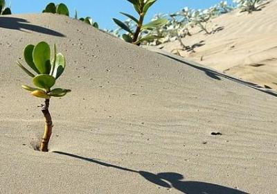 热情词语接龙(必备70句)