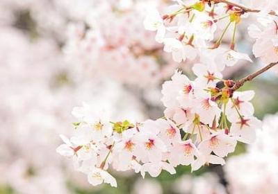 秋天丰收的词语(必备61句)