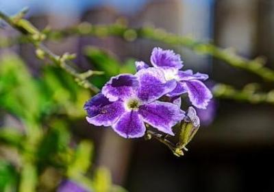 示加偏旁组词语(优选20句)