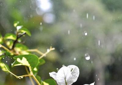 真字开头的词语(热门10句)