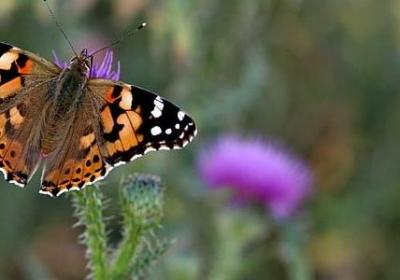 用下列词语造句(推荐32句)