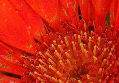 盛能组什么词语(合集61句) 盛能组什么词语(合集61句)