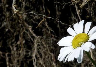 绣换偏旁组词语(通用40句)