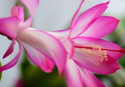 类似沧桑的词语(推荐50句)