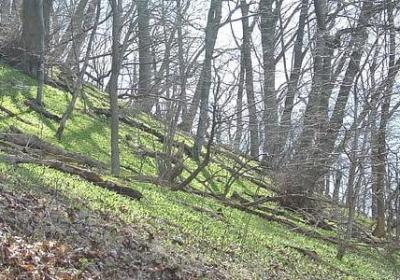 端的词语有哪些(通用44句)