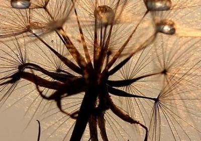 蚂多音字组词语(必备40句) 蚂多音字组词语(必备40句)