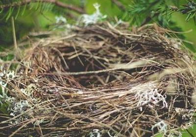 表示工作学习态度的词语(优选12句)