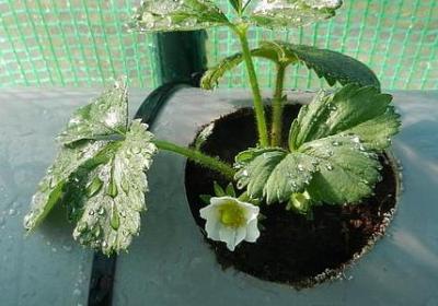 表示悲伤的四字词语(热门50句)