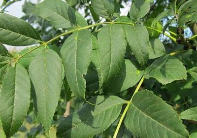 表示人物性格的词语(共50句)