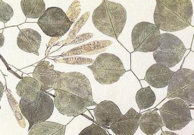 表示很害怕的词语(精选40句)