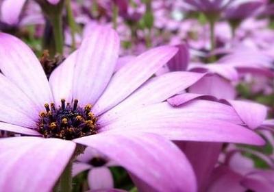 表情的词语三个字(优选40句)