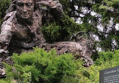 赞美妈妈的词语(精选51句) 赞美妈妈的词语(精选51句)