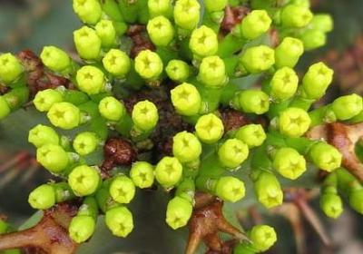 表示过往的词语(优选50句)