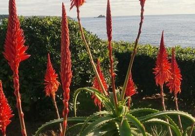 表示颜色很多的词语(推荐10句)