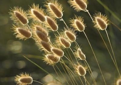 有关礼仪的名言(实用100句)