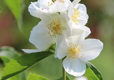 时间的名言有哪些(合集50句)