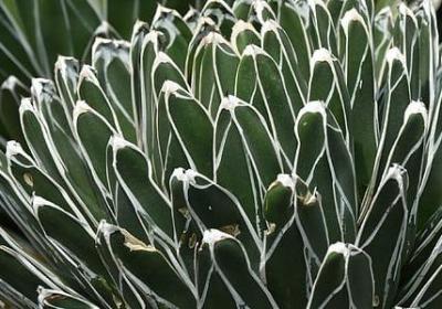 有关准备的名言(60句)