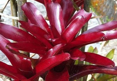 有关知识的名言名句(必备40句)