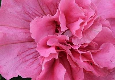 有关于努力的名言(精选60句)