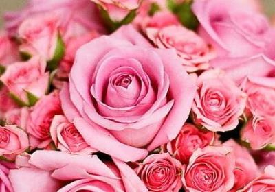 活到老学到老的名言(14句) 活到老学到老的名言(14句)