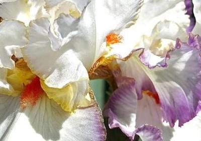 法制名言警句(40句) 法制名言警句(40句)